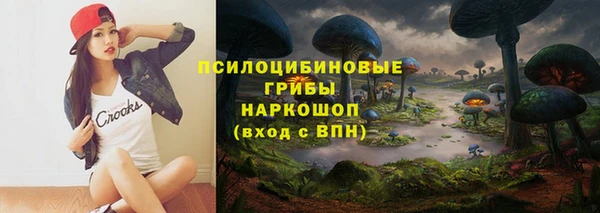 бошки Осташков