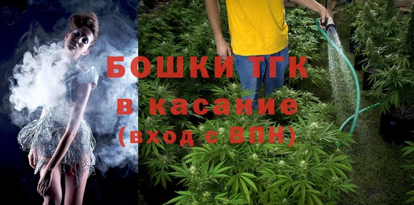 mix Богородицк