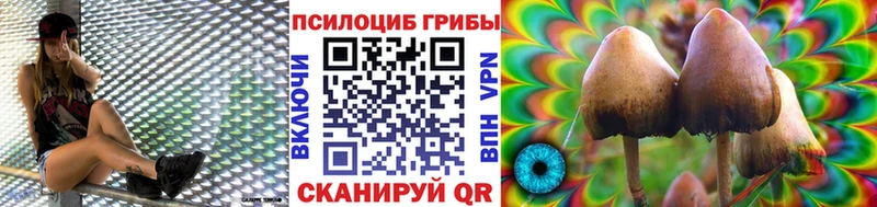 Галлюциногенные грибы ЛСД  Губаха 