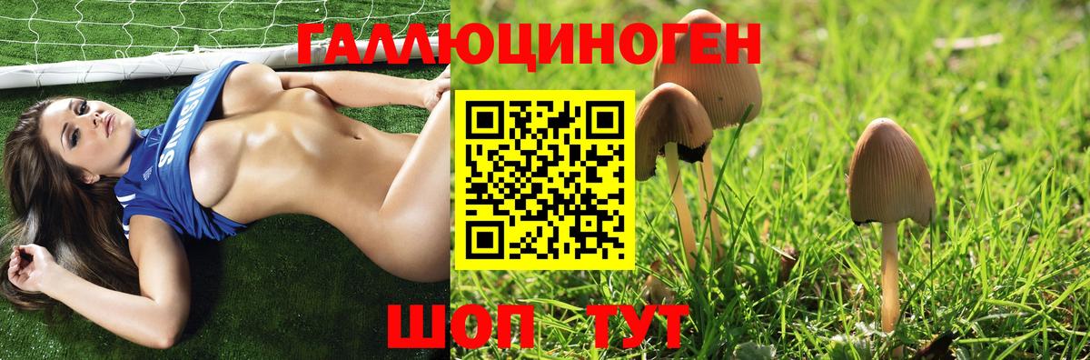 Галлюциногенные грибы MAGIC MUSHROOMS  Губаха 