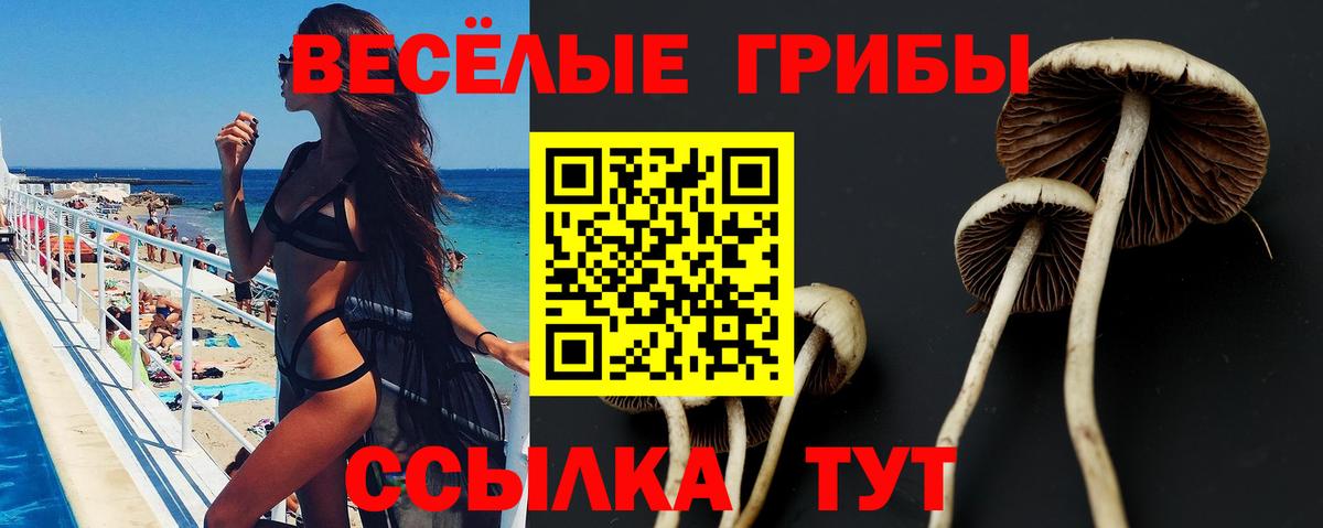 Галлюциногенные грибы GOLDEN TEACHER  Вход с VPN  Губаха 