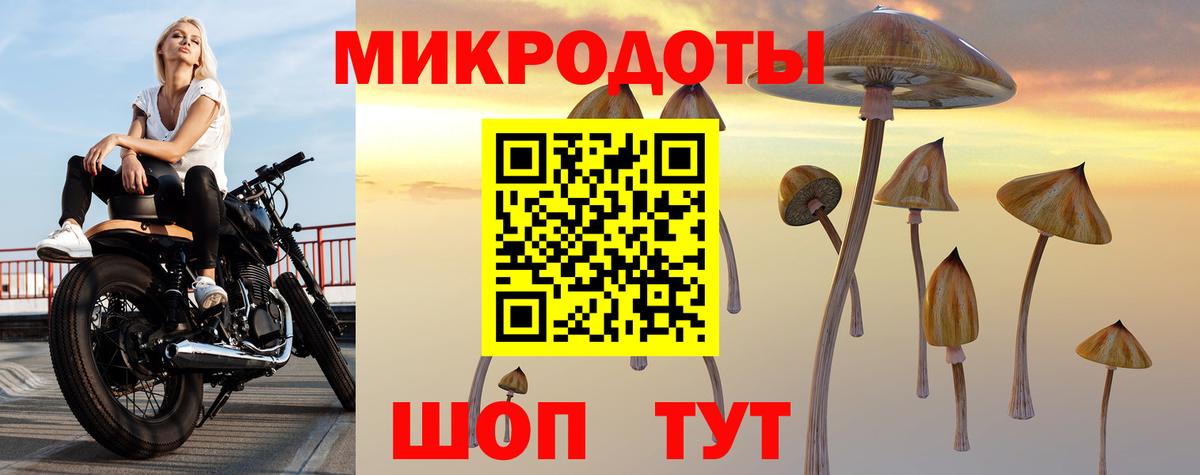 Псилоцибиновые грибы ЛСД Губаха