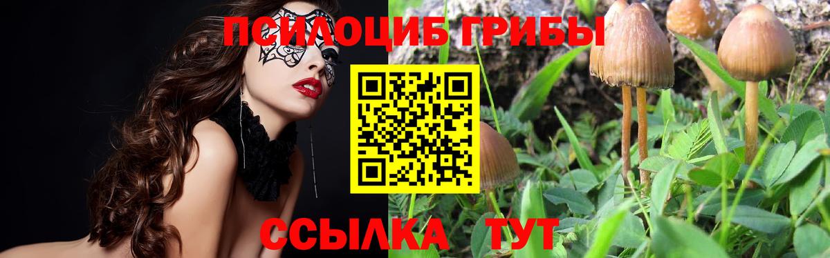 Гашиш Губаха