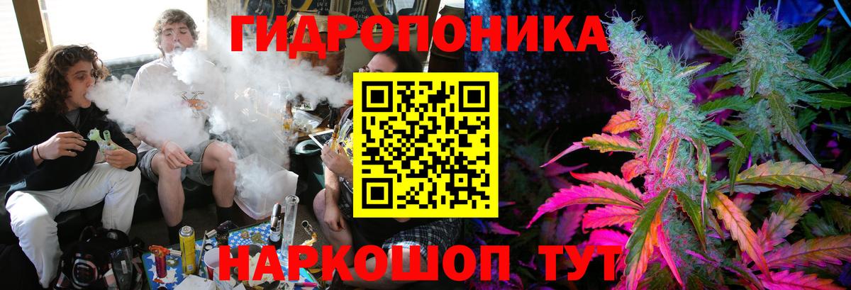 Губаха  Конопля планчик  Вход с VPN  Канабис ГИДРОПОН 